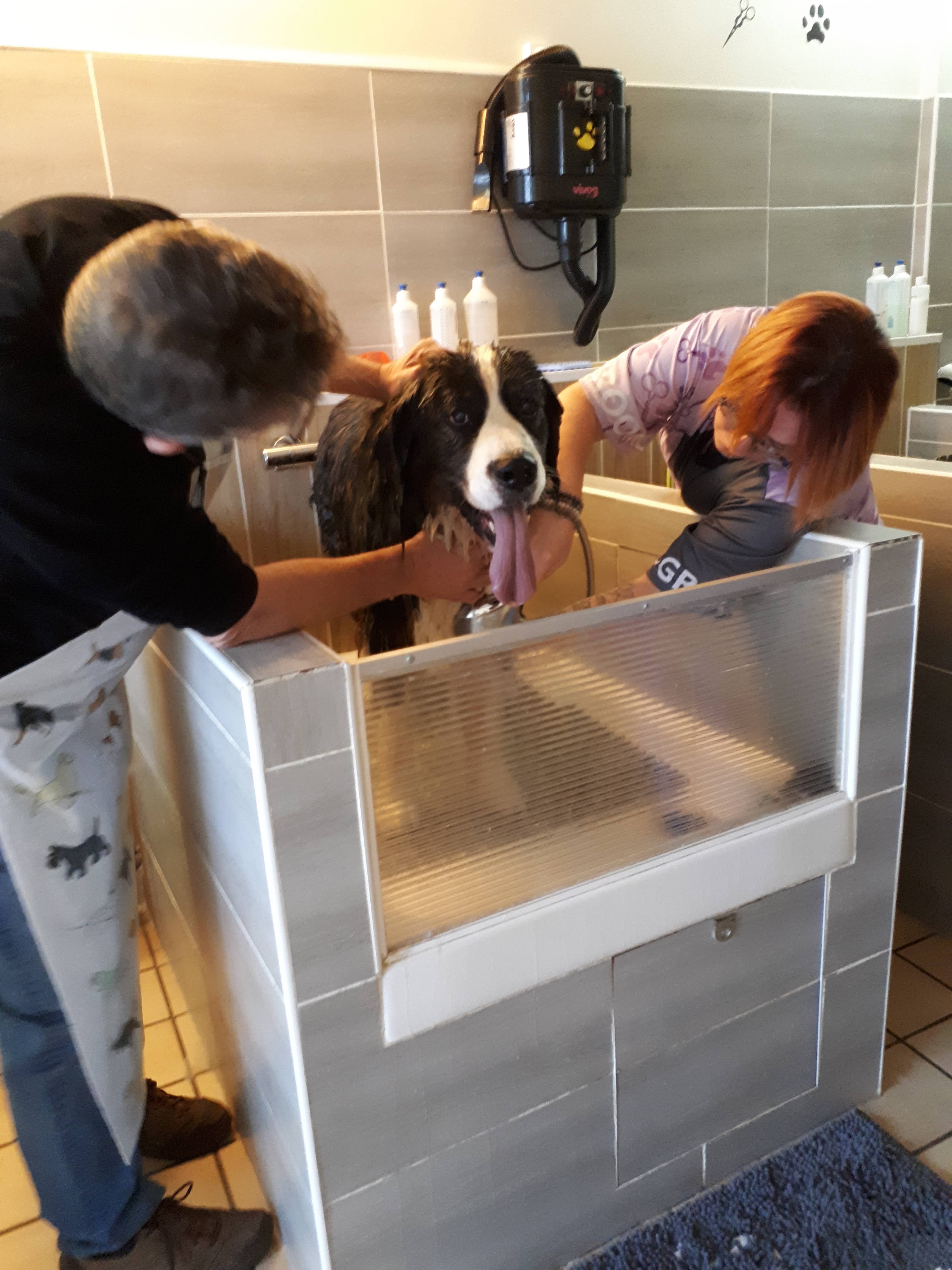 Photo n° 4 de l'avis de Brigitte.c fait le 02/12/2023 à 17:12