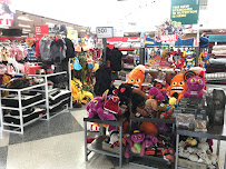 Petco - Photo 8 - Car repair in San Rafael, CA, Vallejo