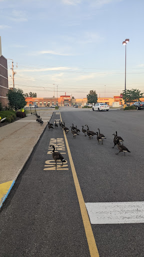 Home Improvement Store «The Home Depot», reviews and photos, 6199 Wilson Mills Rd, Highland Heights, OH 44143, USA