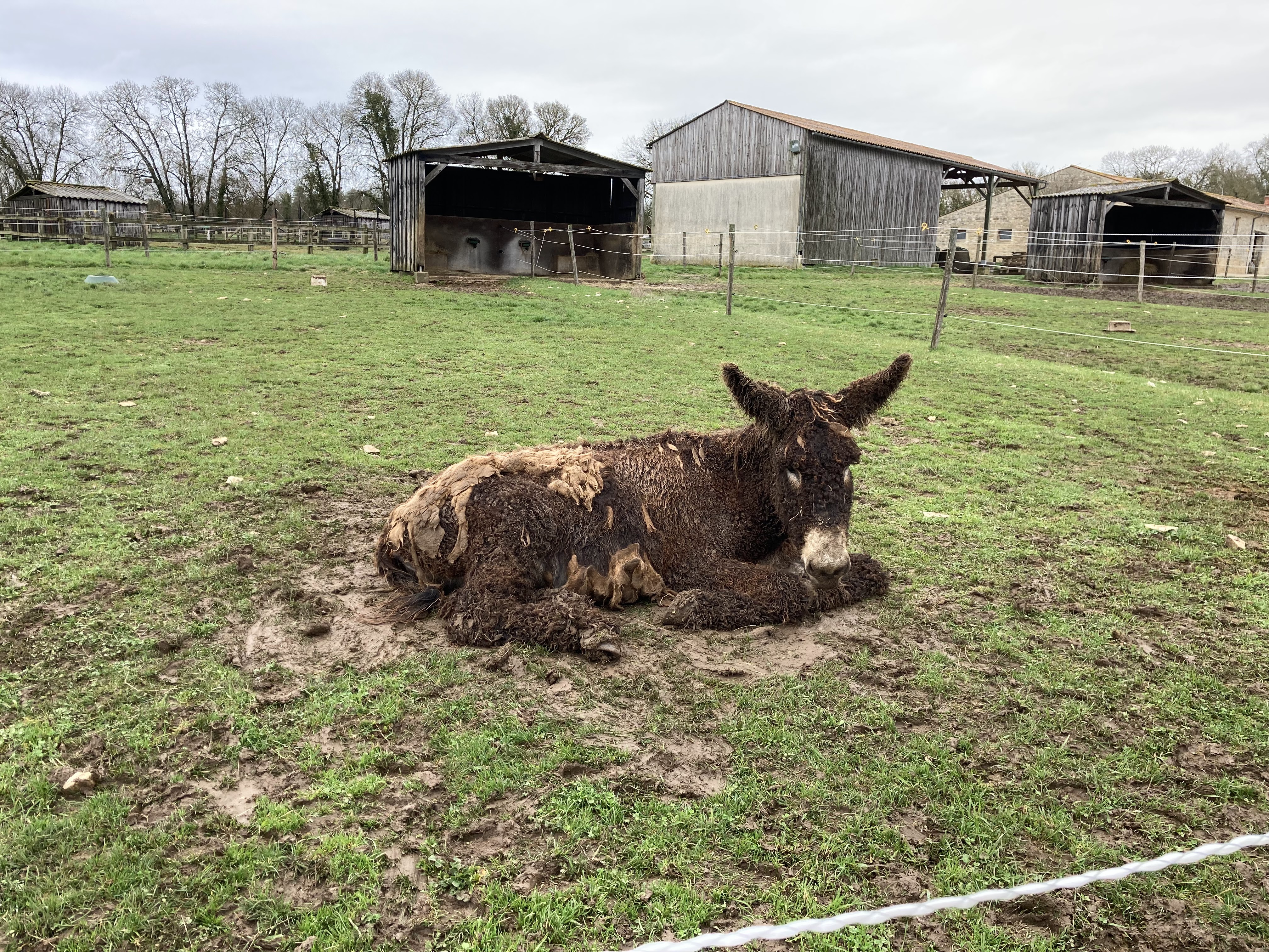 Photo n° 3 de l'avis de Alain.E fait le 18/02/2022 à 22:46