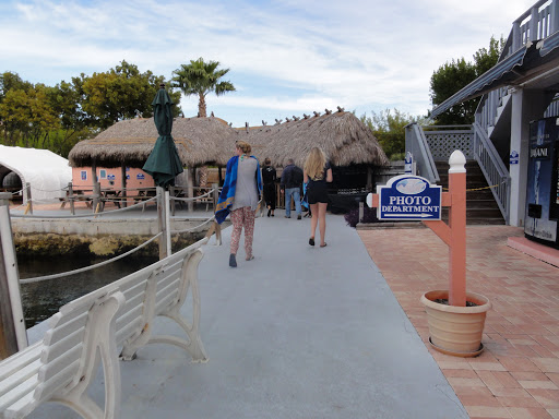 Recreation «Dolphins Plus Oceanside», reviews and photos, 31 Corinne Pl, Key Largo, FL 33037, USA
