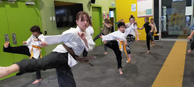 Sanchin Freestyle Karate