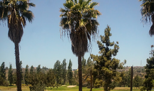 Public Golf Course «Mission Bay Golf Course and Practice Center», reviews and photos, 2702 N Mission Bay Dr, San Diego, CA 92109, USA