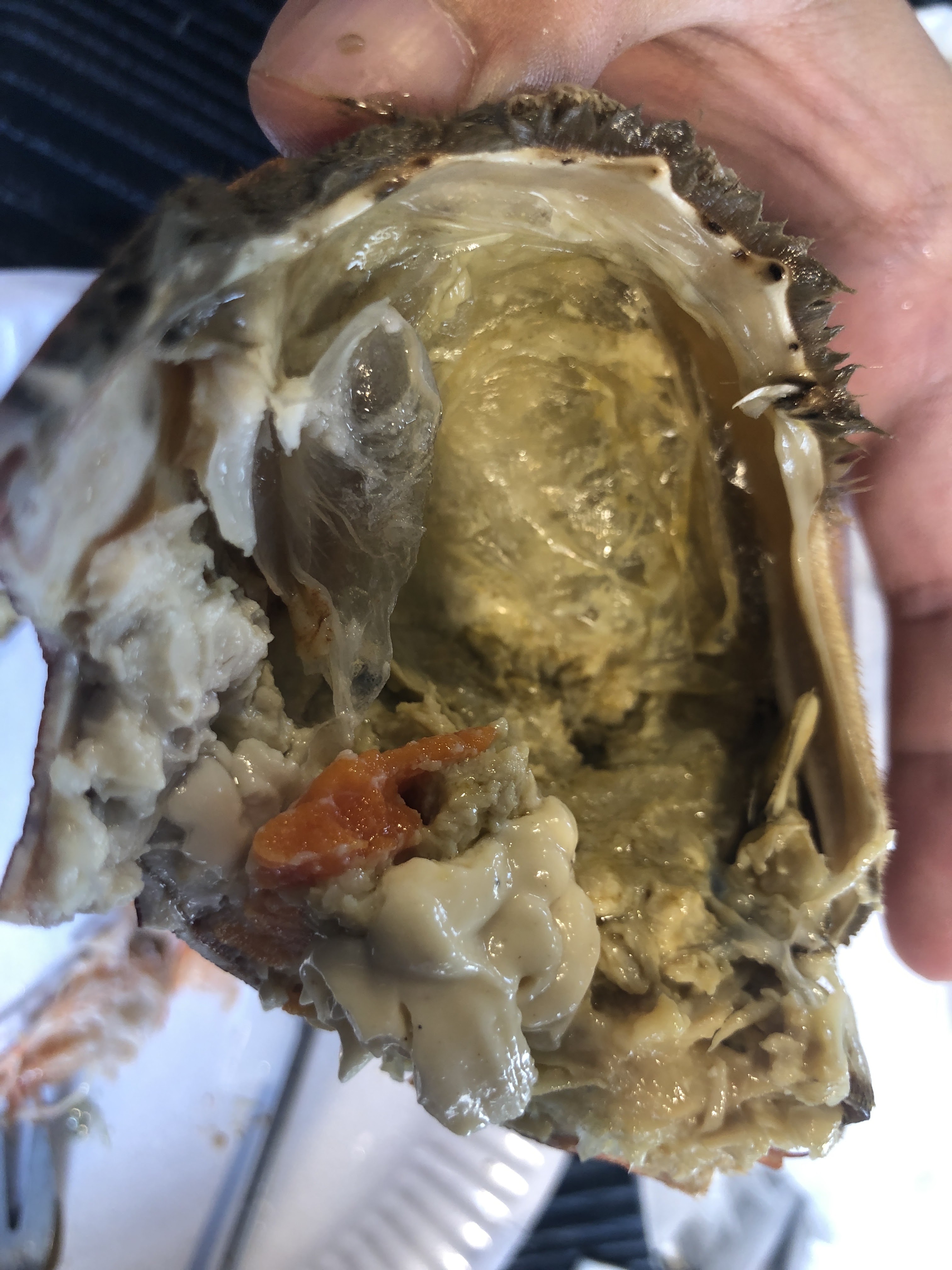 Photo n° 15 de l'avis de Hang.h fait le 07/09/2019 à 13:27