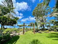 Blue Osa Yoga Retreat and Spa - Photo 7 - Car repair in Puntarenas Province, Punto Jimenez, Costa Rica, Tampa