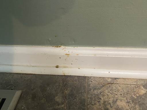 House Cleaning Service «MOLLY MAID of SE Davidson & Rutherford Counties», reviews and photos, 661 Fitzhugh Blvd #137, Smyrna, TN 37167, USA