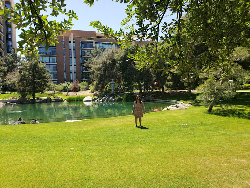 Park «Margaret T. Hance Park», reviews and photos, 67 W Culver St, Phoenix, AZ 85003, USA