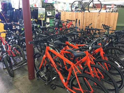 Bicycle Store «Sports Basement Walnut Creek», reviews and photos, 1881 Ygnacio Valley Rd, Walnut Creek, CA 94598, USA