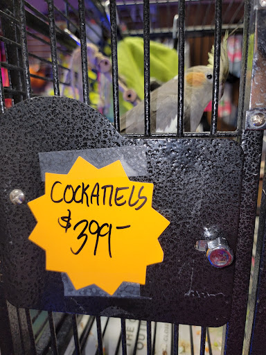 Pet Supply Store «Pet Station Jackson», reviews and photos, 1617 E Michigan Ave, Jackson, MI 49202, USA