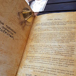 Photo n°6 de l'avis de diego.a fait le 24/05/2018 à 19:29 sur le  Havana Española à Schwetzingen