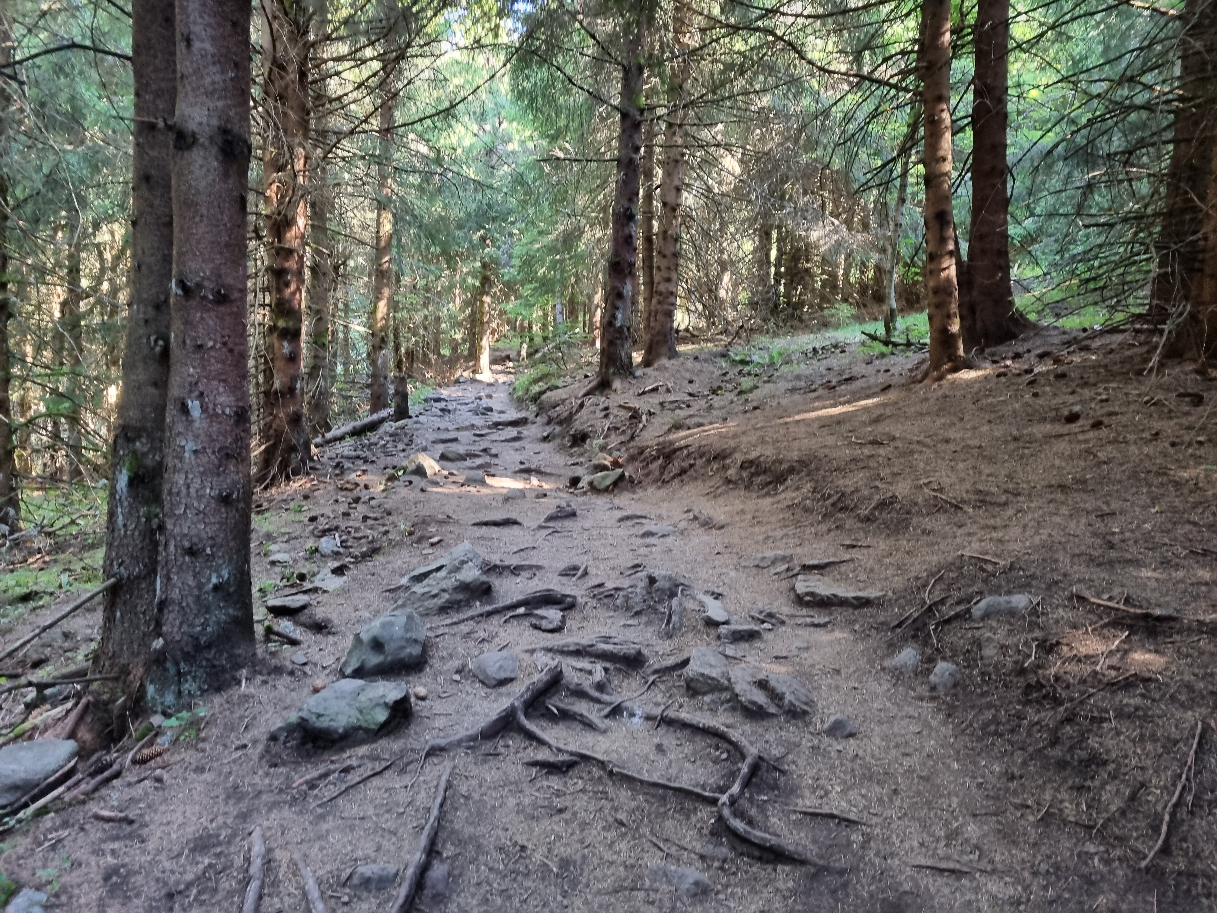 Photo n° 24 de l'avis de LD.R fait le 17/07/2022 à 16:33