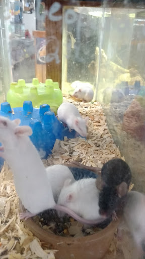 Pet Supply Store «Sunflower Natural Pet Supplies», reviews and photos, 514 Pillsbury Dr, Manhattan, KS 66502, USA