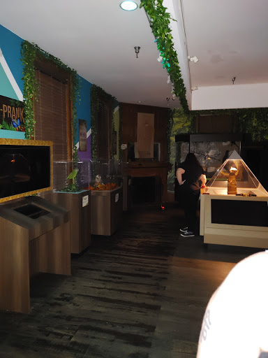 Tourist Attraction «Ghost Train Adventure», reviews and photos, 19 San Marco Ave, St Augustine, FL 32084, USA