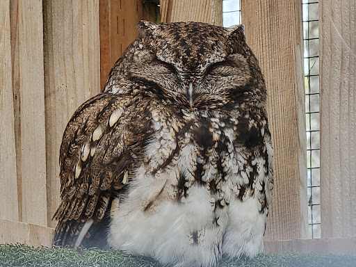 Nature Preserve «Cascades Raptor Center», reviews and photos, 32275 Fox Hollow Rd, Eugene, OR 97405, USA