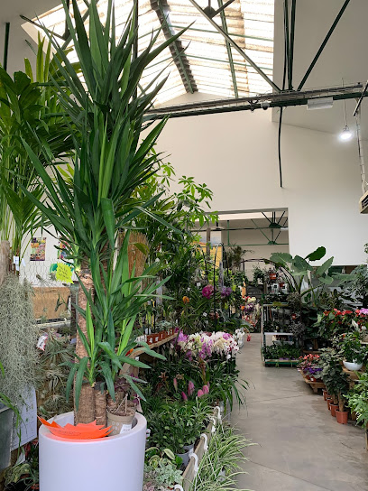 Jardinerie du Tech | Végétaux, outillage, arrosage... | Reynès