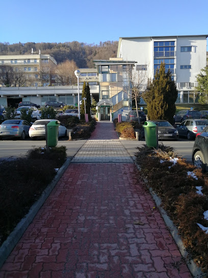 Parkplatz Elisabethinen