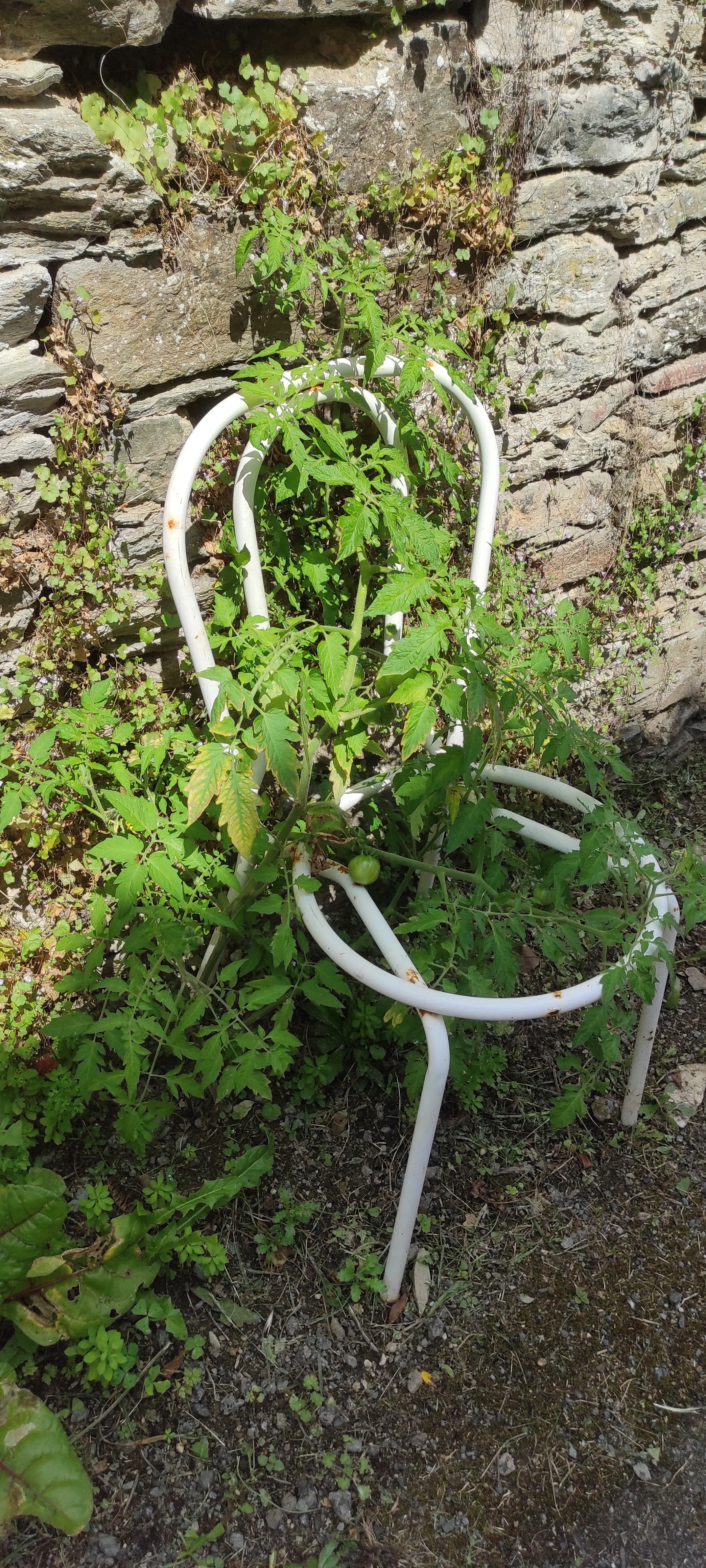 Photo n° 4 de l'avis de Béa.i fait le 05/08/2021 à 15:41