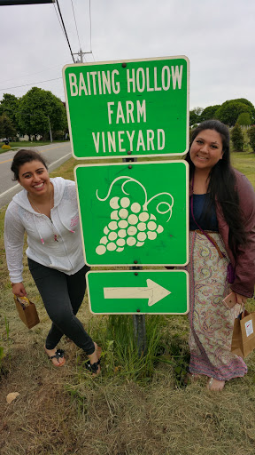 Vineyard «Baiting Hollow Farm Vineyard», reviews and photos, 2114 Sound Ave, Calverton, NY 11933, USA