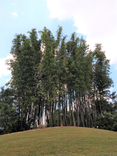 Golf Club «Shingle Creek Golf Club», reviews and photos, 9939 Universal Blvd, Orlando, FL 32819, USA