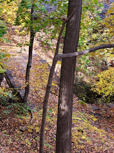 Park «Glenfield», reviews and photos, Bloomfield Ave & Maple Ave, Montclair, NJ 07042, USA