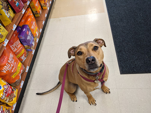 Pet Store «PetSaver Healthy Pet Superstore (Brighton Location)», reviews and photos, 2947 Monroe Ave, Rochester, NY 14618, USA