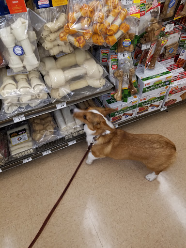 Pet Supply Store «Petco Animal Supplies», reviews and photos, 9311 192nd Ave E, Bonney Lake, WA 98391, USA