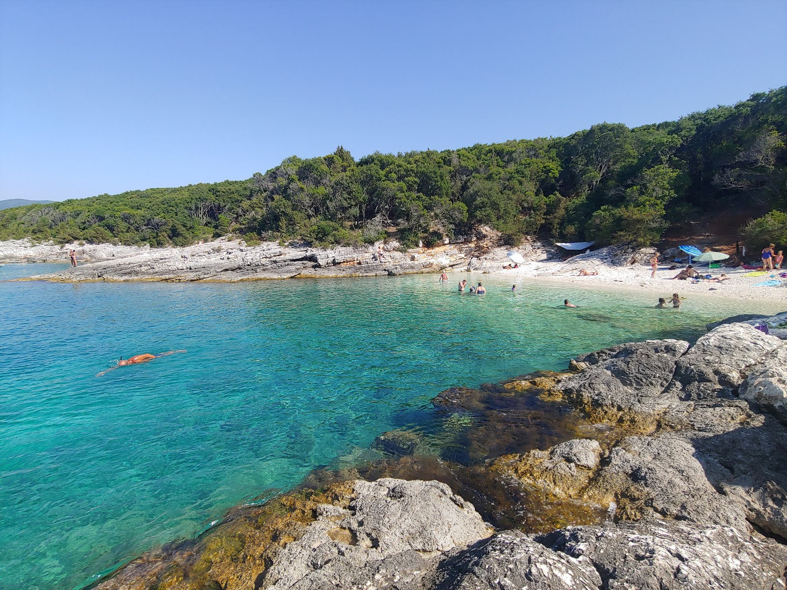 Photo de Kimilia beach zone sauvage