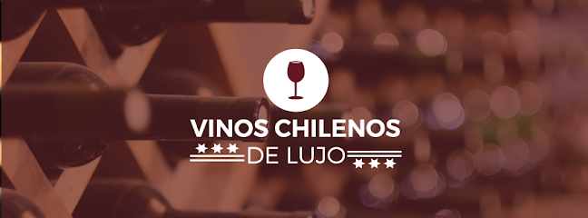 Vinos Chilenos de Lujo
