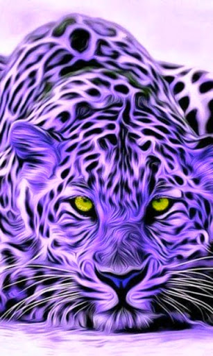 Clothing Store «Ross Dress for Less», reviews and photos, 151 N McDowell Blvd, Petaluma, CA 94954, USA