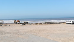 Sidi Kaouki Beach'in fotoğrafı çok temiz temizlik seviyesi ile