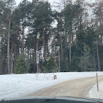 Photo n°5 de l'avis de Melvis.o fait le 14/12/2022 à 16:54 sur le  ADLER Lodge RITTEN à Oberbozen