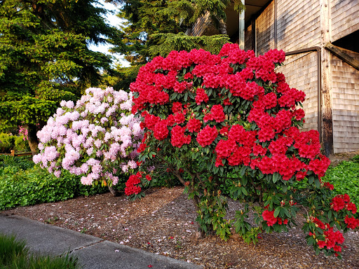 Resort «Embarcadero Resort Hotel & Marina», reviews and photos, 1000 SE Bay Blvd, Newport, OR 97365, USA