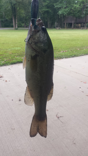 Park «Boyle Park», reviews and photos, 2000 Boyle Park Rd, Little Rock, AR 72204, USA