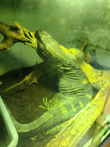 Pet Store «CUSTOM CREATURES PET SHOP», reviews and photos, 10727 N 19th Ave, Phoenix, AZ 85029, USA