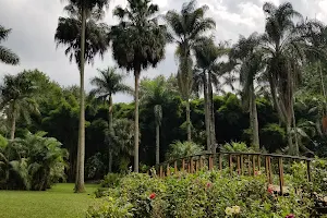 Francisco Javier Clavijero Botanical Garden image