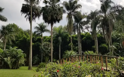 Francisco Javier Clavijero Botanical Garden image
