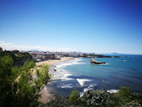Agence immobilière Synd Coproprietaires Res Cap Sud Biarritz