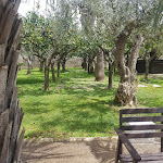 Photo n°6 de l'avis de Alessia.e fait le 25/04/2019 à 15:15 sur le  Cambiocavallo - Unesco Area & Resort à Modica