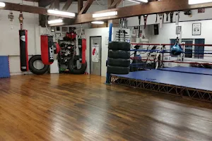 Canino's Karate & Boxing Studio image