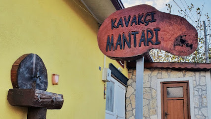 Kavakçı Mantar (İstiridye Mantarı)