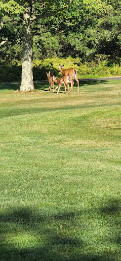 Golf Shop «Eagle Rock Golf Clubhouse & Pro Shop», reviews and photos, 191 Turnberry Ln, Hazle Township, PA 18202, USA