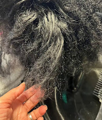 Triple A Dominican Hair & Spa Clearwater (Dominican Salon) - Photo 7 - Car repair in Clearwater, FL, Clearwater