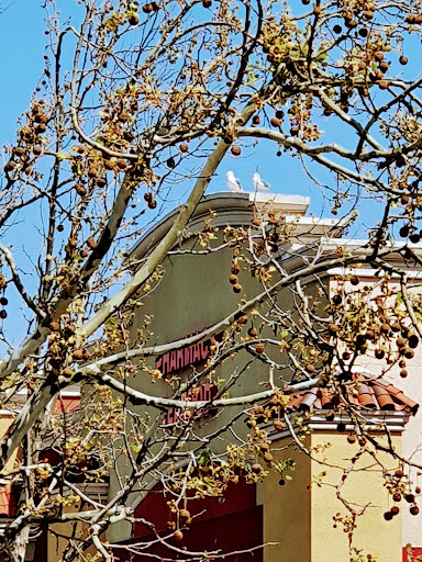 Bakery «Krispy Kreme Doughnuts», reviews and photos, 32450 Dyer St, Union City, CA 94587, USA