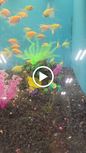 Pet Supply Store «Petco Animal Supplies», reviews and photos, 17132 W Colfax Ave, Golden, CO 80401, USA