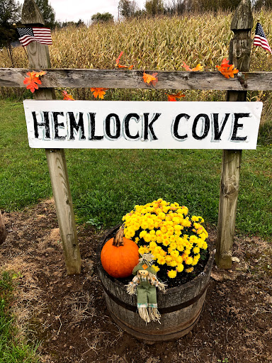 Hemlock Cove image 1