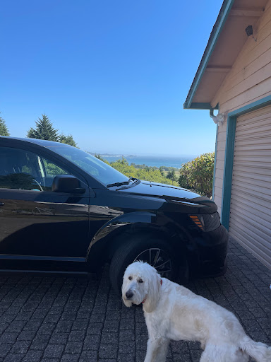 Car Wash «Quick Quack Car Wash - Rancho Cordova», reviews and photos, 3050 Sunrise Blvd, Rancho Cordova, CA 95742, USA