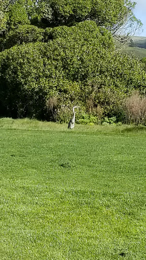 Golf Resort «The Links at Bodega Harbour», reviews and photos, 21301 Heron Dr, Bodega Bay, CA 94923, USA