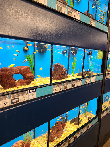 Pet Supply Store «Petco Animal Supplies», reviews and photos, 3485 Grand Oaks, Corona, CA 92881, USA