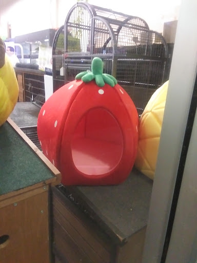 Pet Store «Super Pets», reviews and photos, 1807 E Chapman Ave, Orange, CA 92867, USA