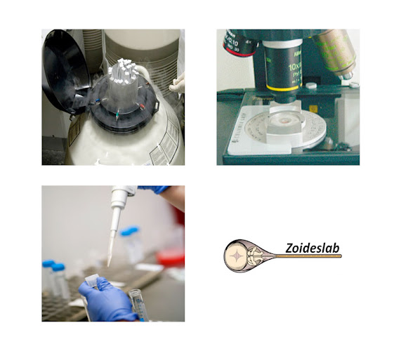 Laboratorio de infertilidad masculina Zoideslab - Laboratorio